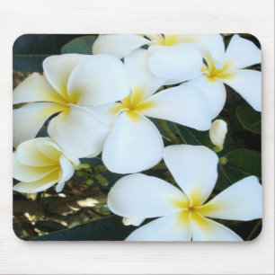 Hawaiianische tropische Blume Mousepad