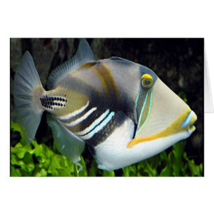 Hawaiianische tropische Fischkarte