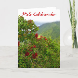 Hawaiianische Weihnachten