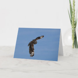 Hawaiianischer Kurzer Ohrpuffer in die Höhe schnel Karte