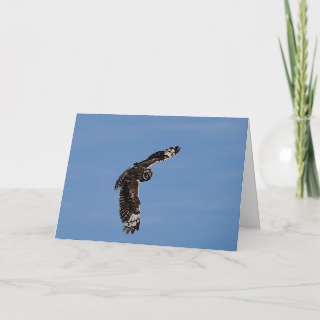 Hawaiianischer Kurzer Ohrpuffer in die Höhe schnel Karte (Vorderseite)