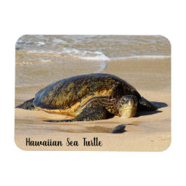 Hawaiianischer Meeresschildkröte auf dem Sand Magnet