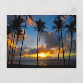 Hawaiianischer Sonnenaufgang Postkarte