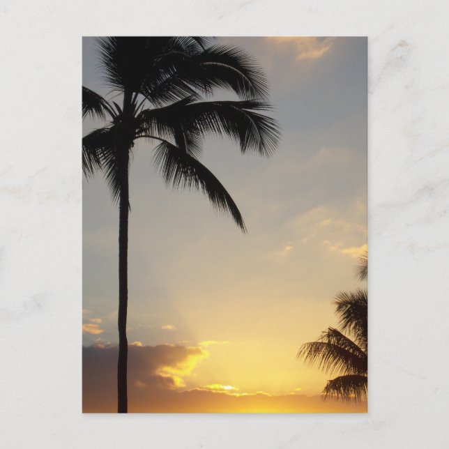 Hawaiianischer Sonnenaufgang Postkarte (Vorderseite)