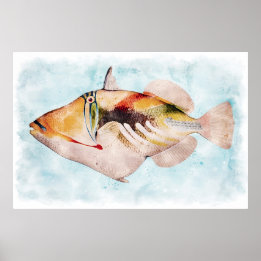 Hawaiianischer Triggerfisch Poster