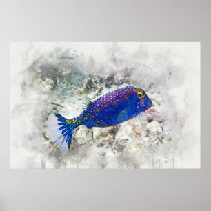 Hawaiianischer Tropischer Fisch Wasserfarbe - Boxf Poster