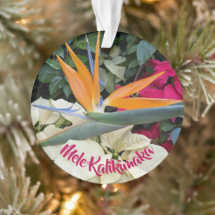 Hawaiianischer Vogel im Paradies Ornament