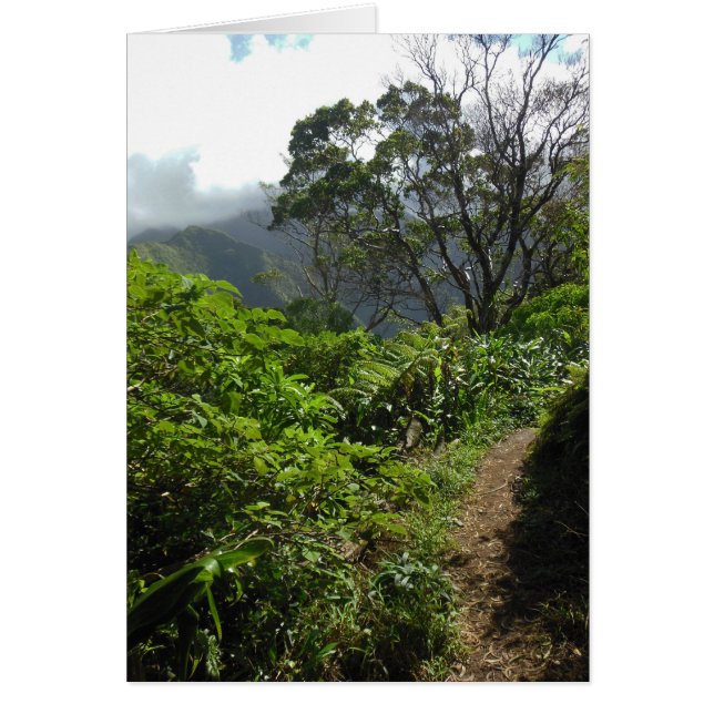 Hawaiianischer Wanderweg (Vorne)