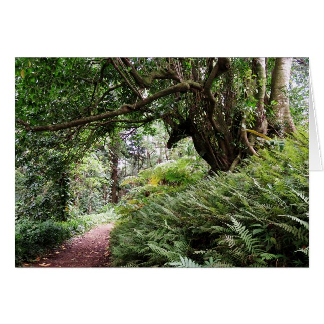 Hawaiianischer Wanderweg (Vorderseite (Horizontal))