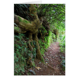 Hawaiianischer Wanderweg