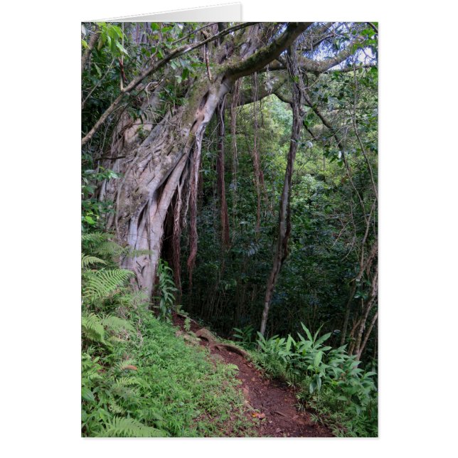 Hawaiianischer Wanderweg (Vorne)