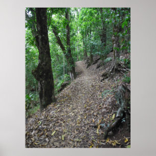 Hawaiianischer Wanderweg Poster