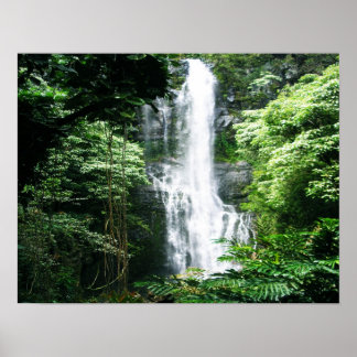 Hawaiianischer Wasserfall Poster