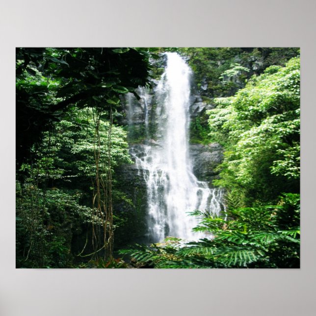 Hawaiianischer Wasserfall Poster (Vorne)