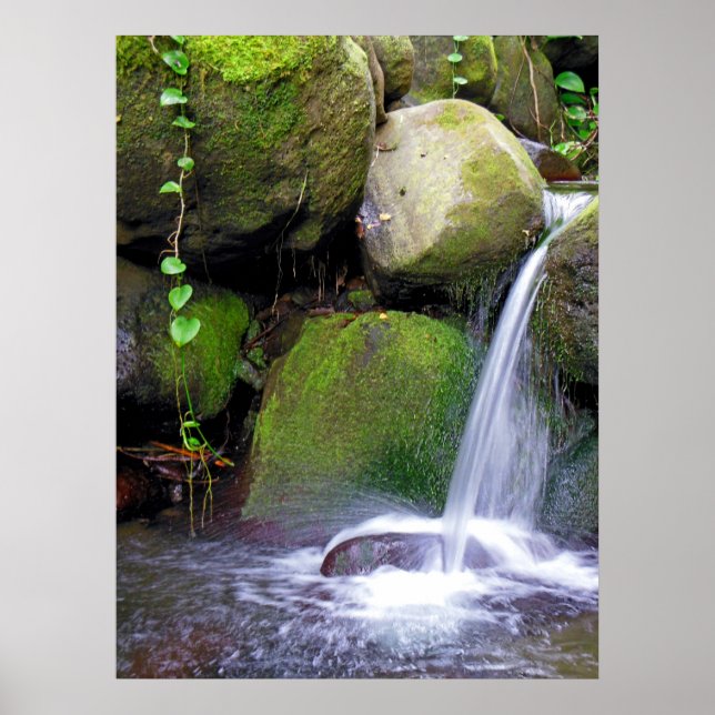 Hawaiianischer Wasserfall Poster (Vorne)