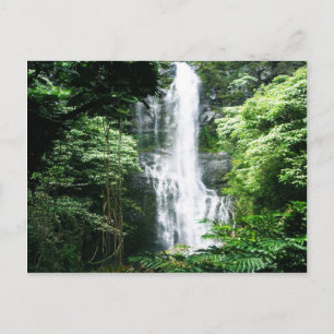 Hawaiianischer Wasserfall Postkarte