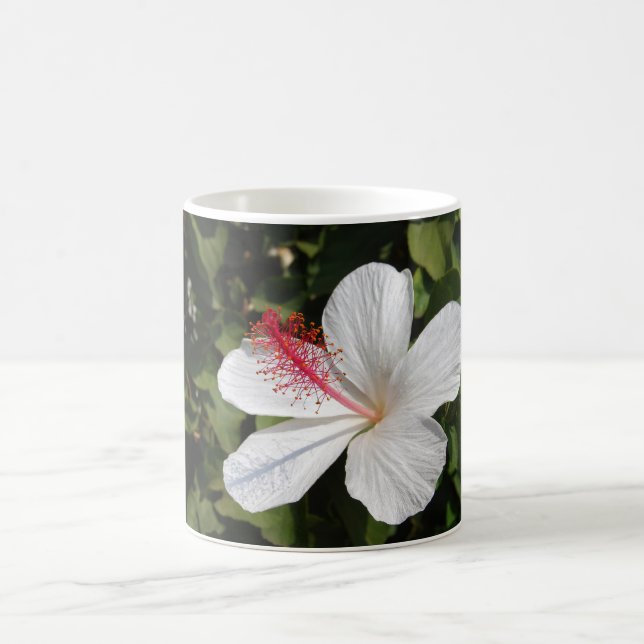 Hawaiianischer Weißer Hibiskus Kaffeetasse (Mittel)
