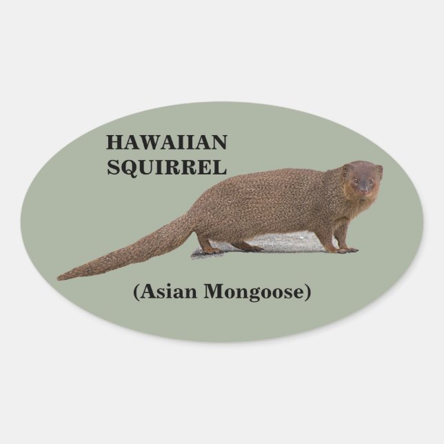 Hawaiianisches Eichhörnchen (asiatische Mongolei)  Ovaler Aufkleber (Vorderseite)