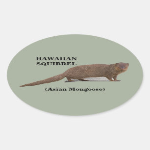 Hawaiianisches Eichhörnchen (asiatische Mongolei) Ovaler Aufkleber