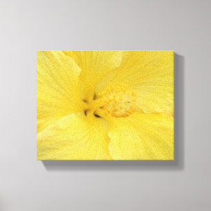 Hawaiianisches Gelbes Hibiskus-Fine-Art-Foto Leinwanddruck