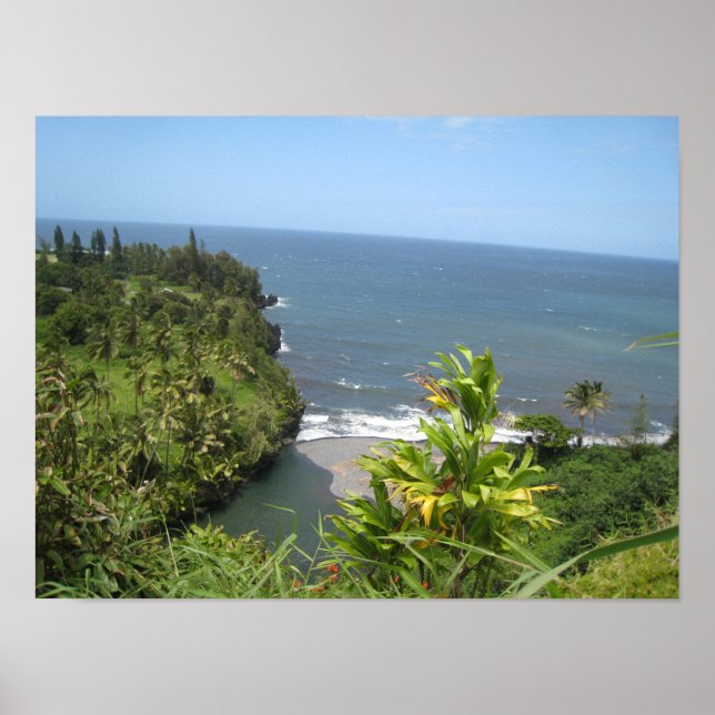 Hawaiianisches Küstenposter Poster (Vorne)