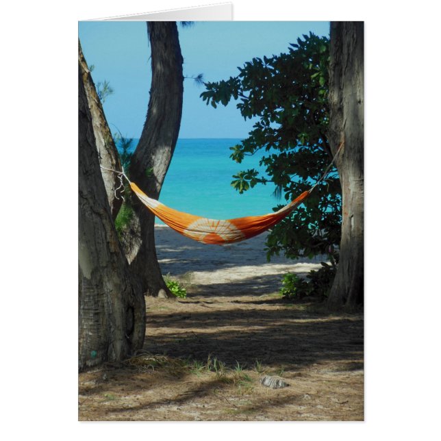 Hawaiianisches Paradies (Vorne)