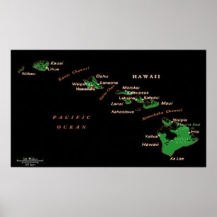Hawaiianisches Poster