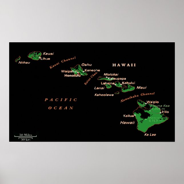 Hawaiianisches Poster (Vorne)