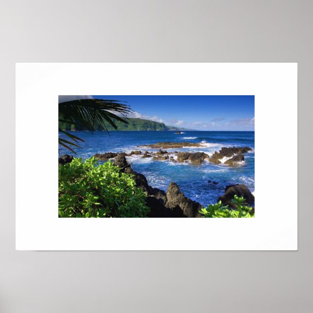 Hawaiianisches Poster (Vorne)