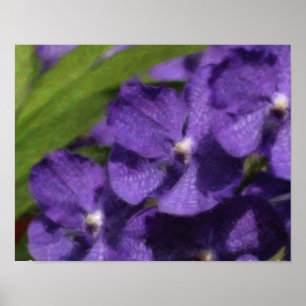 Hawaiianisches Tropen-Orchideen-Poster Poster
