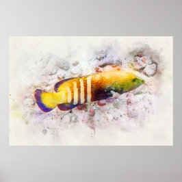 Hawaiianisches tropisches Fischwasser - Grouper Poster