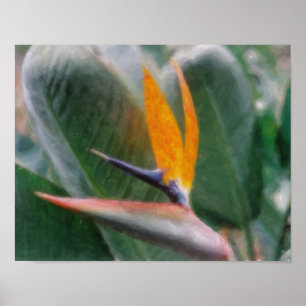 Hawaiianisches Tropisches Paradiesvogel-Poster Poster