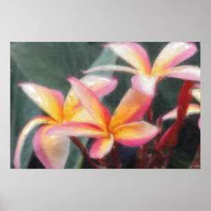 Hawaiianisches Tropisches Plumeria Poster