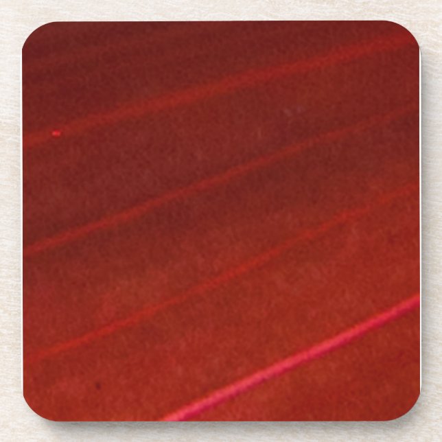 Hawaiianisches variegiertes rotes Leaf 4 Untersetzer