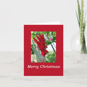 Hawaiianisches Weihnachten Karte