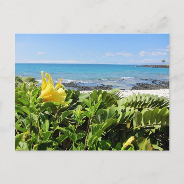 Hawaiianstrand Postkarte (Vorderseite)
