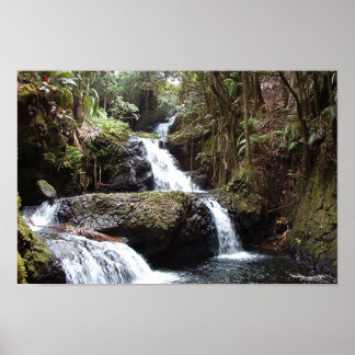 Hawaiin Waterfall Poster