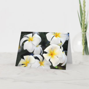 Hawaiiplumeria-Blumen-Gruß-Karte Karte