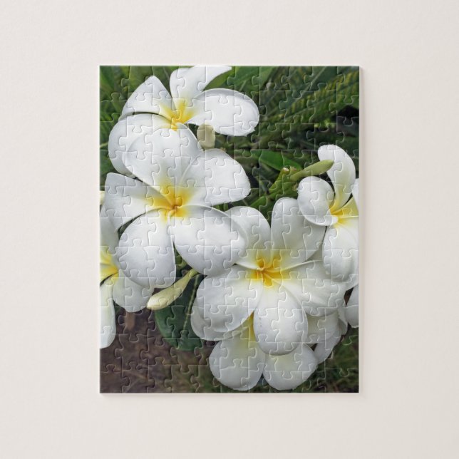 Hawaiiplumeria-Blumen Puzzle (Vertikal)