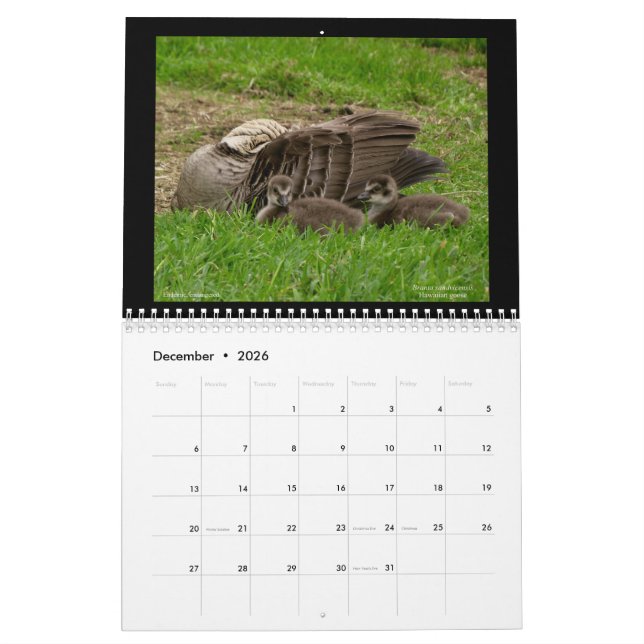 Hawaiis Juwelen 2021 Kalender (Dez 2026)