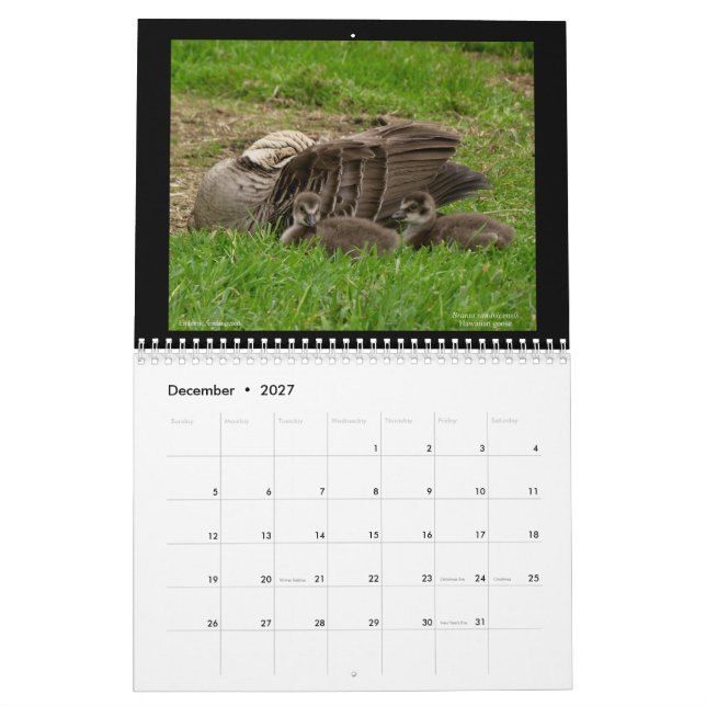 Hawaiis Juwelen 2021 Kalender (Dez 2027)