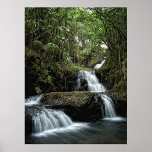 HAWAII'S ONOMEA FALLS POSTER