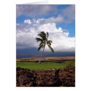 Hawaiische Golfplatz-Ansicht