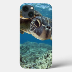 Hawaiische grüne Meeresschildkröte Case-Mate iPhone Hülle