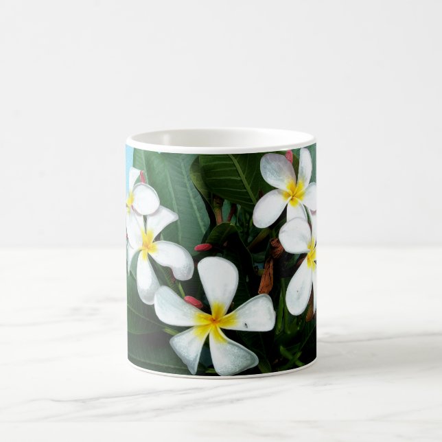 Hawaiische Plumeria-Blumen-Tasse Tasse (Mittel)