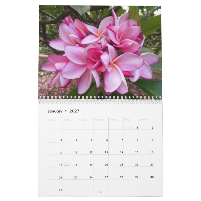 Hawaiische Plumerias Kalender (Jan 2027)