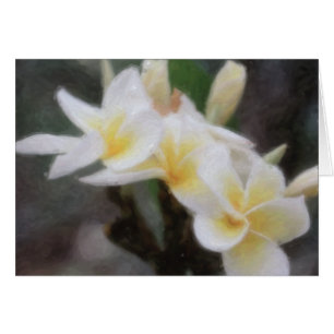 Hawaiische tropische Plumeria-Karten