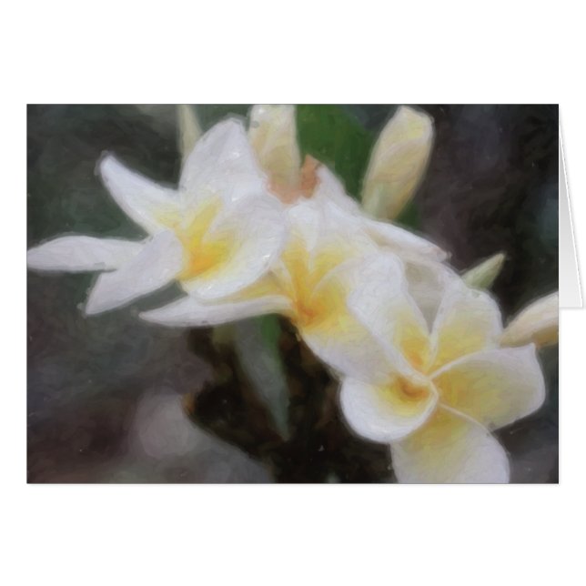 Hawaiische tropische Plumeria-Karten (Vorderseite (Horizontal))