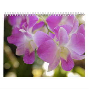 Hawaiischer Blumen-u. Orchideen-Kalender Kalender
