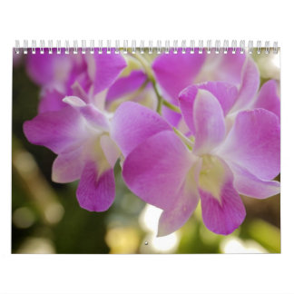 Hawaiischer Blumen-u. Orchideen-Kalender Kalender